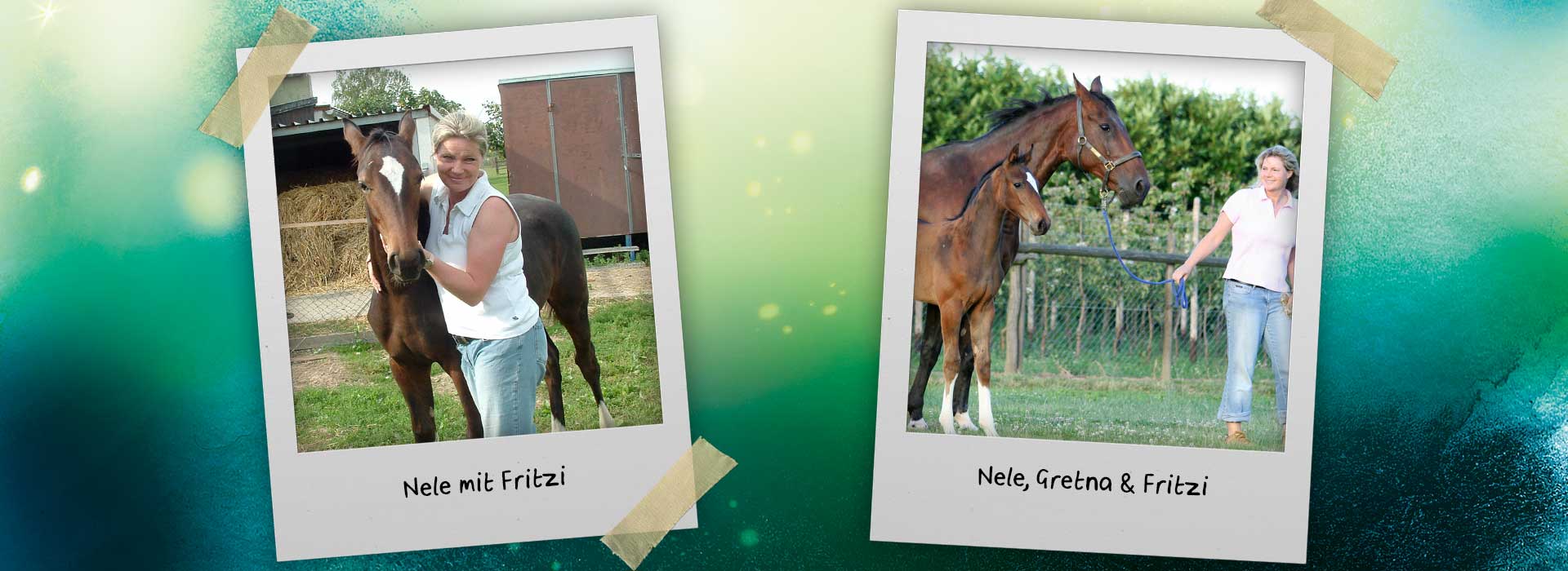 Auf der Grafik sind zwei Fotos zu sehen: Links: Nele mit Fohlen Fritzi. Rechts: Nele führt Stute Greta, Fohlen Fritzi steht daneben auf der Weide.