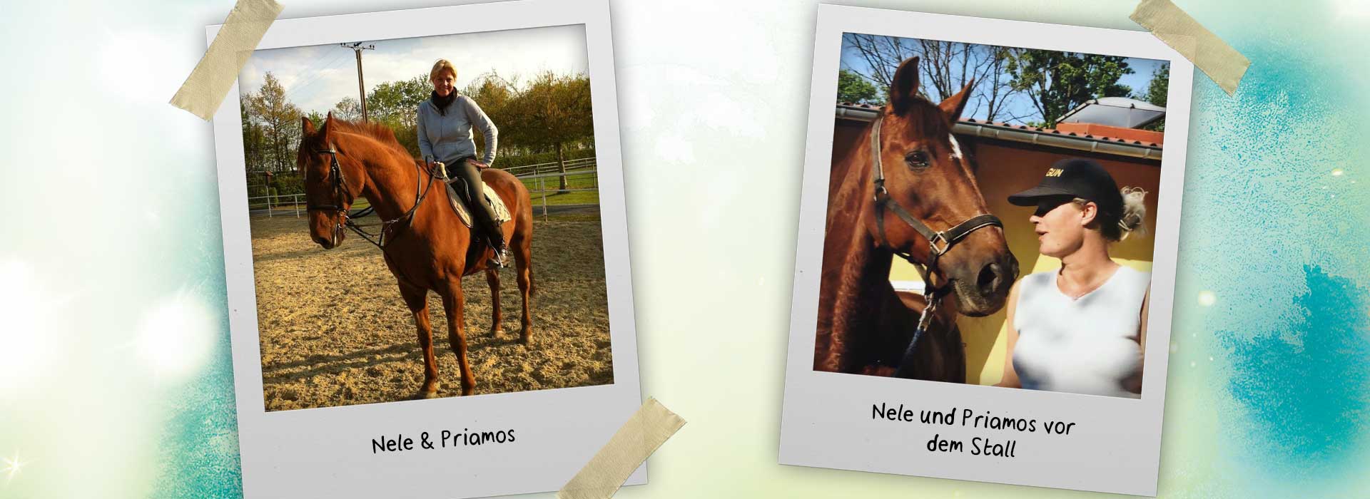 Auf der Grafik sind zwei Fotos zu sehen: Links: Nele sitzt auf dem braunen Hengst Priamos. Rechts: Nele und Priamos stehen vor dem Stall.