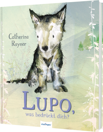 168开奖网app-168开奖网